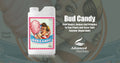 Bud Candy