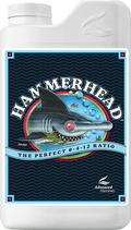 HammerHead