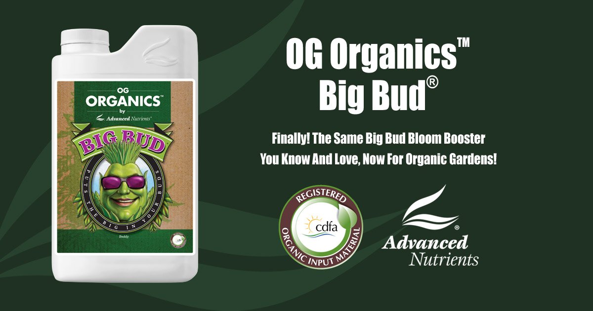 OG Organics Big Bud