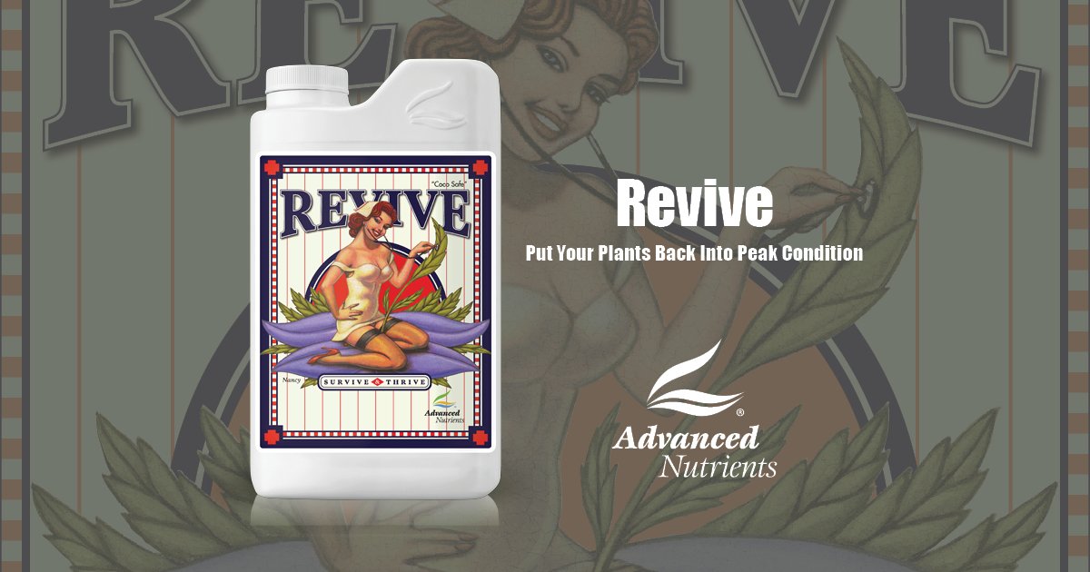Revive