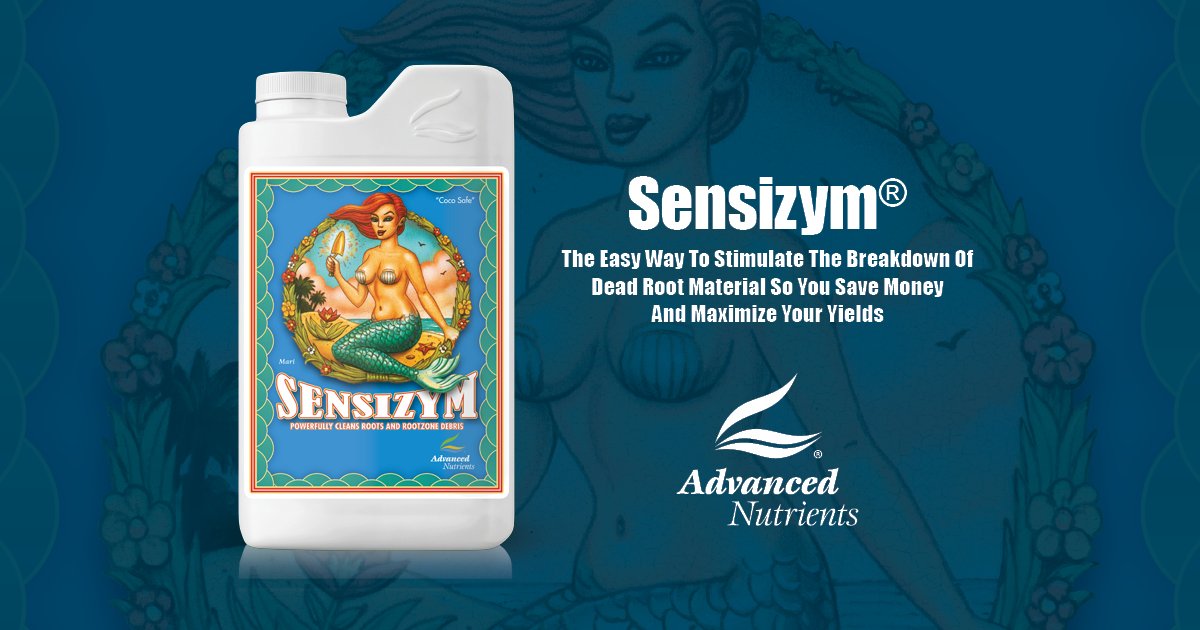 Sensizym