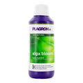 Alga Bloom