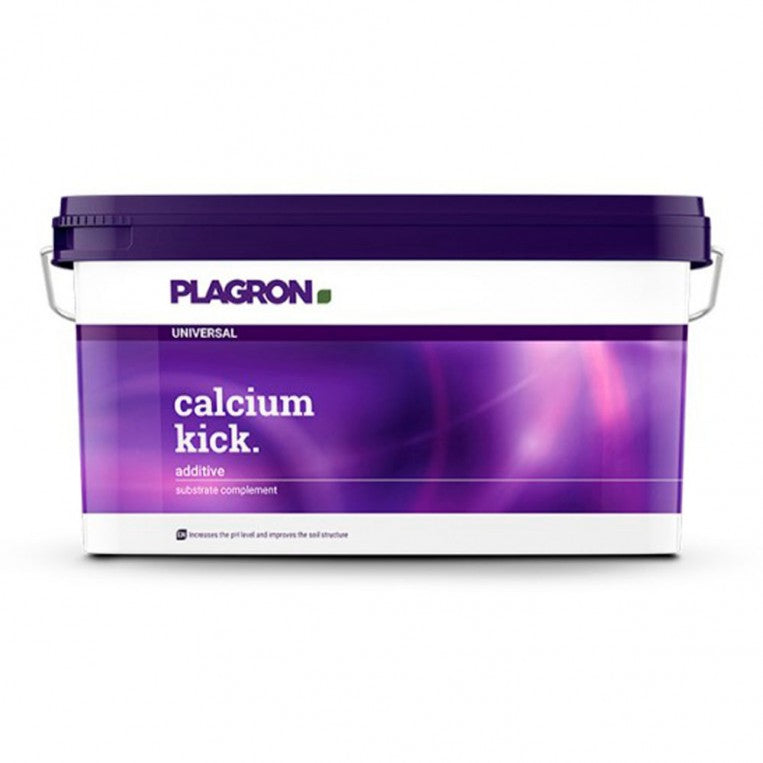 Calcium Kick