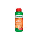 Coco Forte A