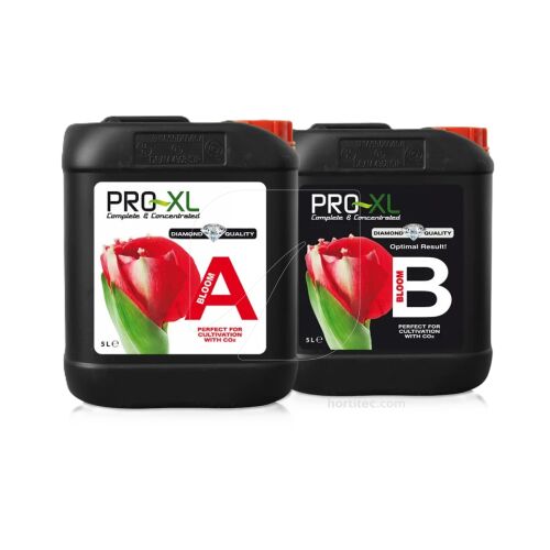 Bloom A+B 5 L