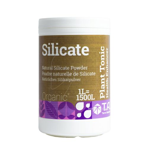 Silicate (mineral magic)