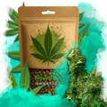 Bruce Banner Feminized