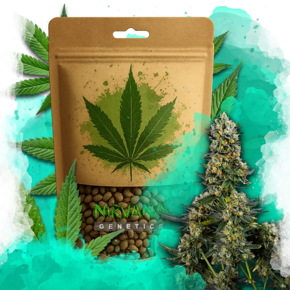 Chemdog Feminized