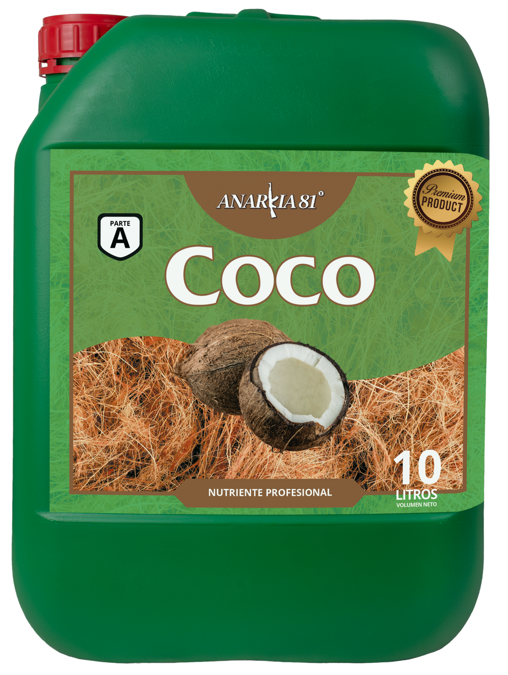 Coco A Anarkia81