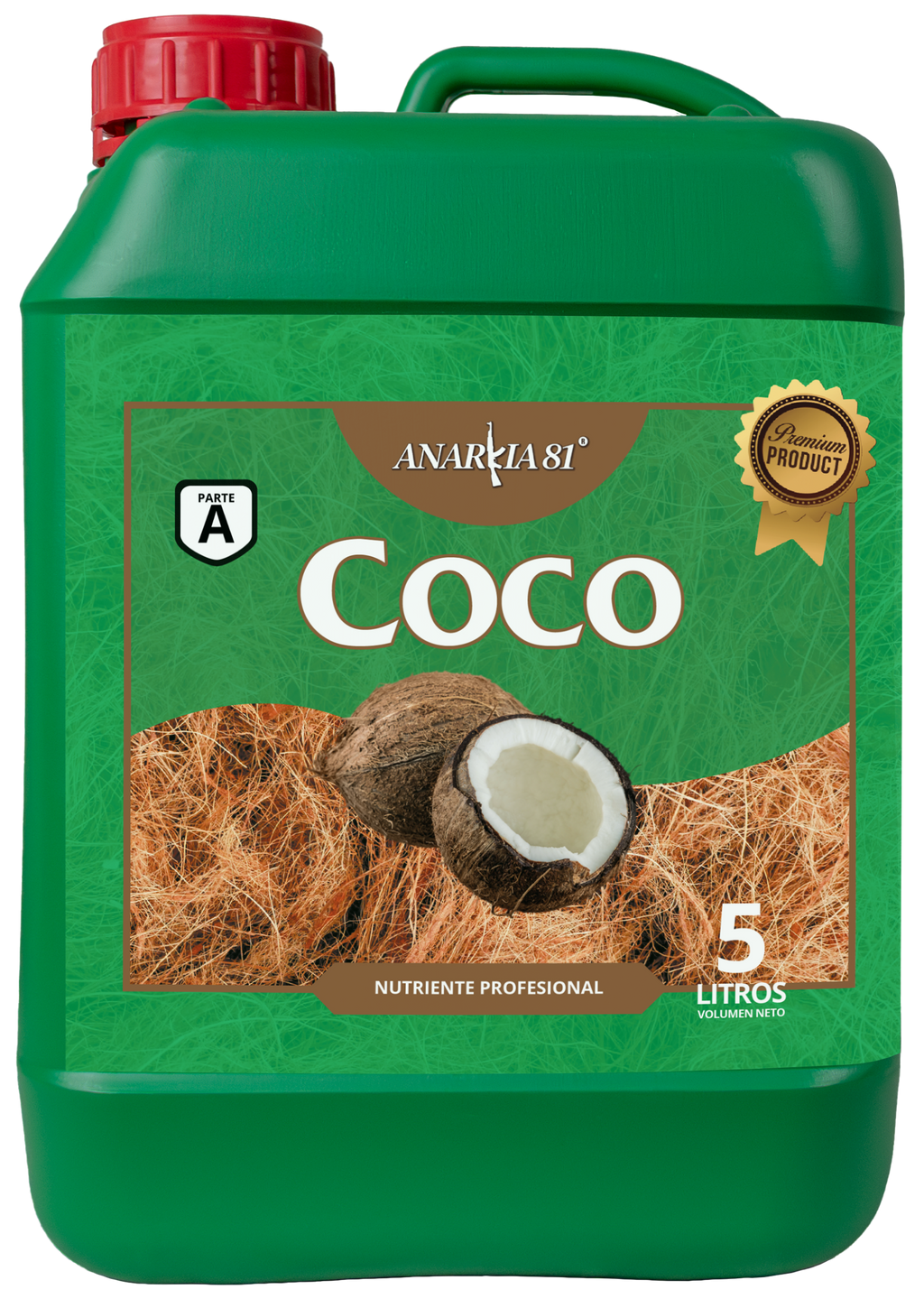 Coco A Anarkia81