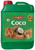 Coco A Anarkia81