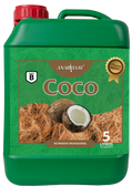 Coco B Anarkia81