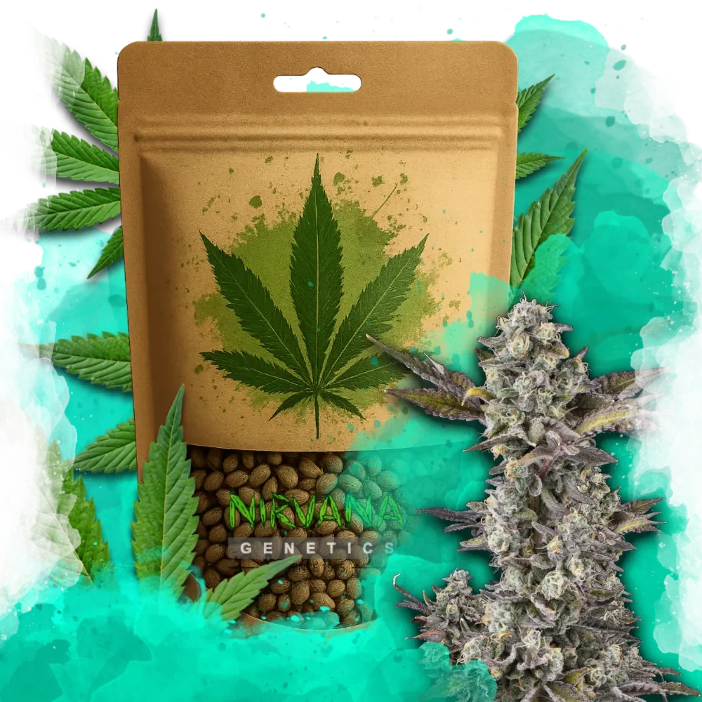 Critical Feminized