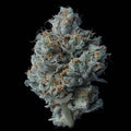 Zallah Bread Fem Cannabis Seeds