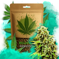 Green Poison Feminized