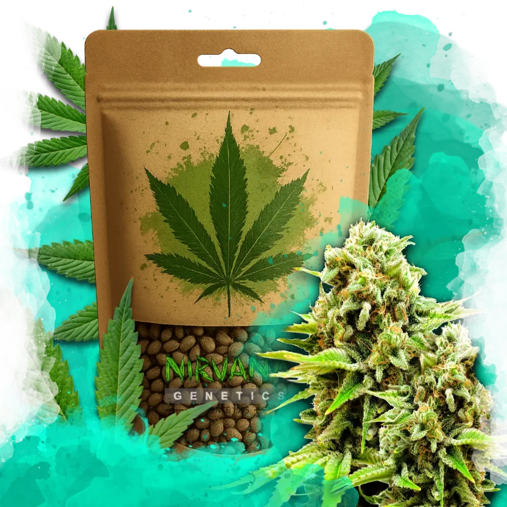 Green Poison Feminized