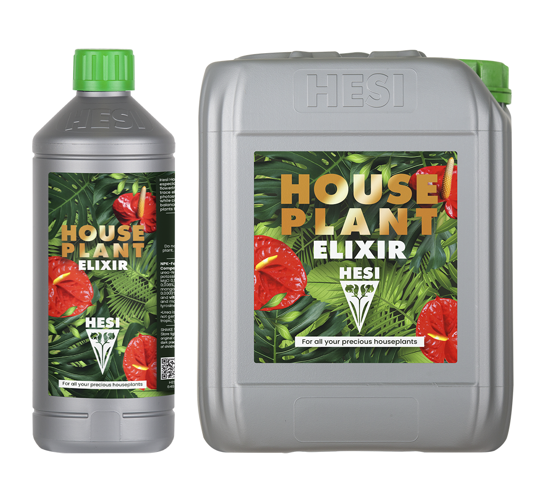 Houseplant Elixir