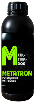 Metatron Anarkia81