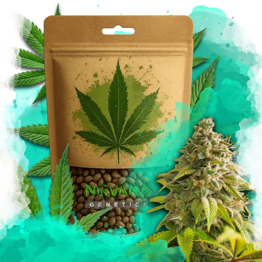 Pure Power Plant Feminized
