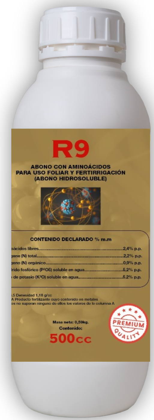 R9 Anarkia81