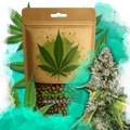 Skunk #1 Feminized