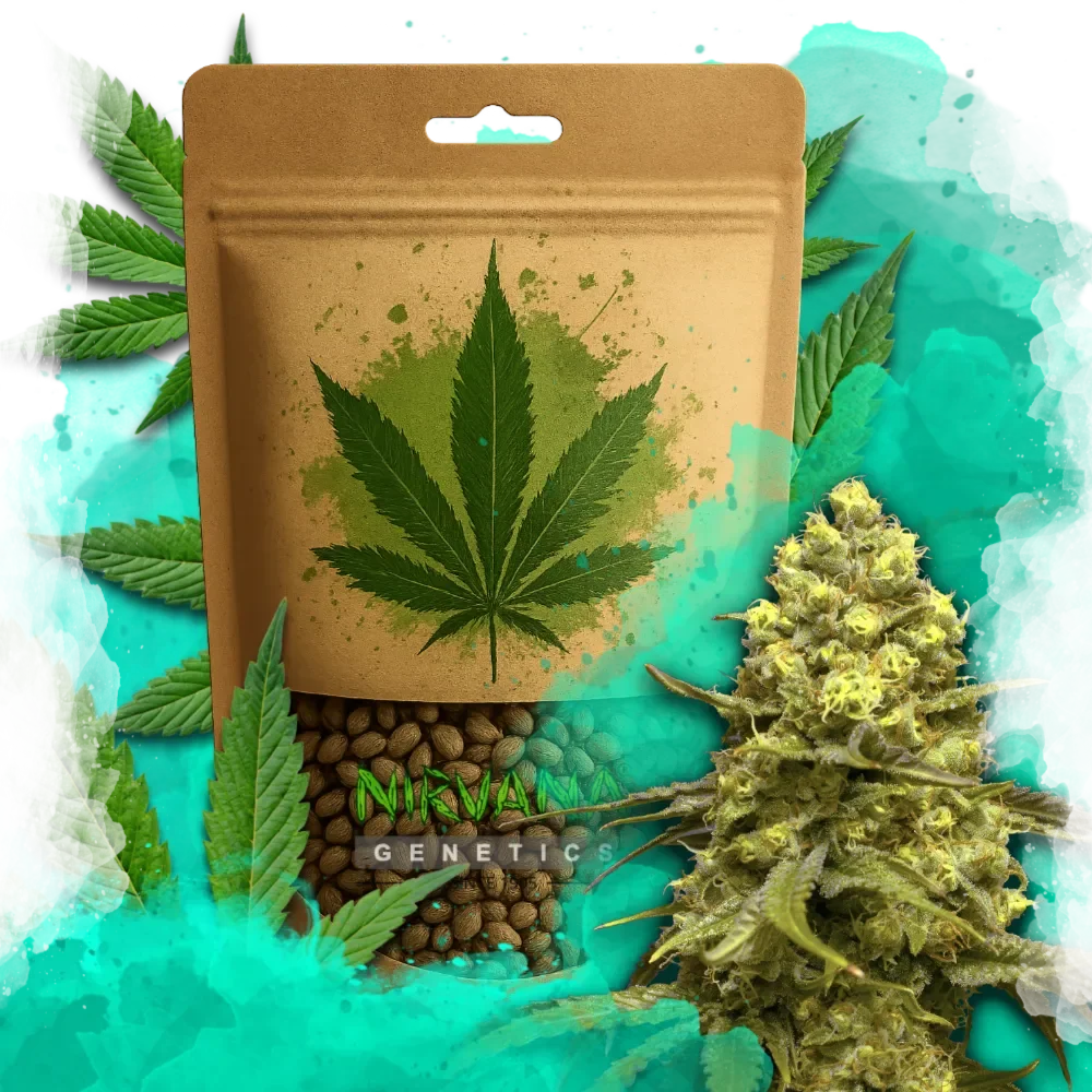 Sweet Tooth Feminized
