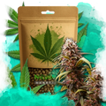 Wonder Woman Feminized