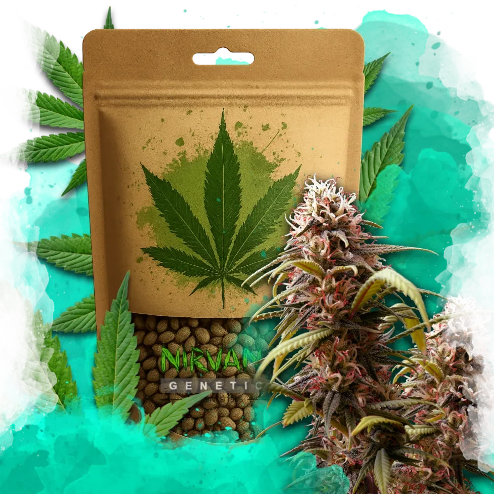 Wonder Woman Feminized
