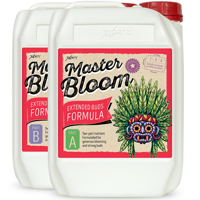 Xpert Nutrients Master Bloom A+B