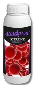 XTreme Anarkia81