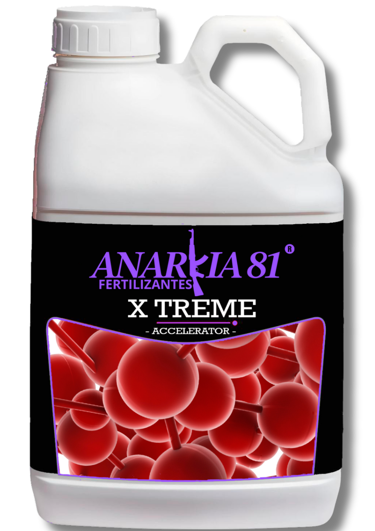 XTreme Anarkia81