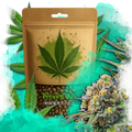 Zkittlez Autoflower