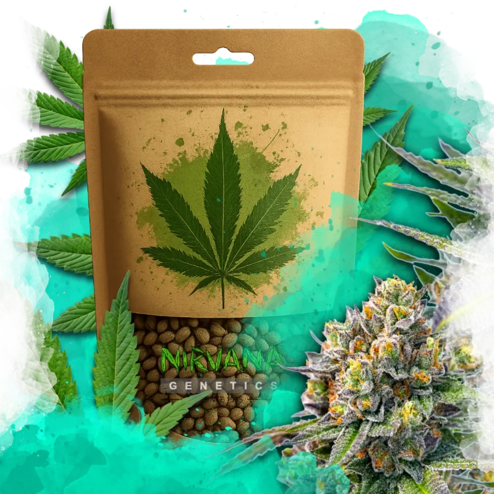 Zkittlez Autoflower