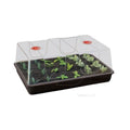 Propagador grande (58 x 40 x 22,5 cm) Garland