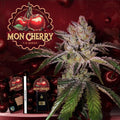 Mon Cherry by T.H.Seeds®