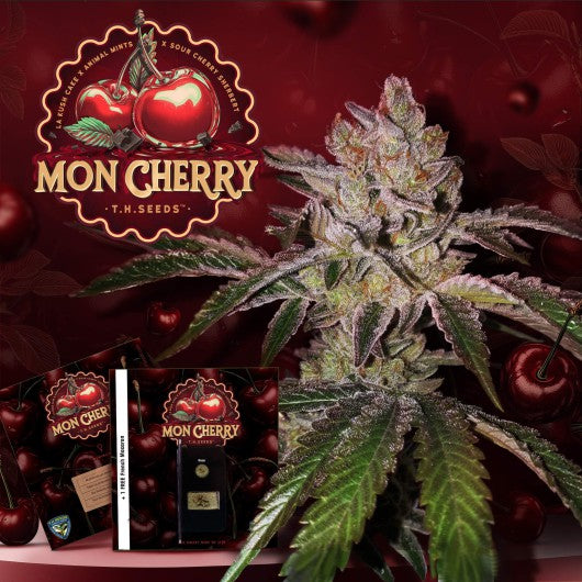 Mon Cherry by T.H.Seeds®