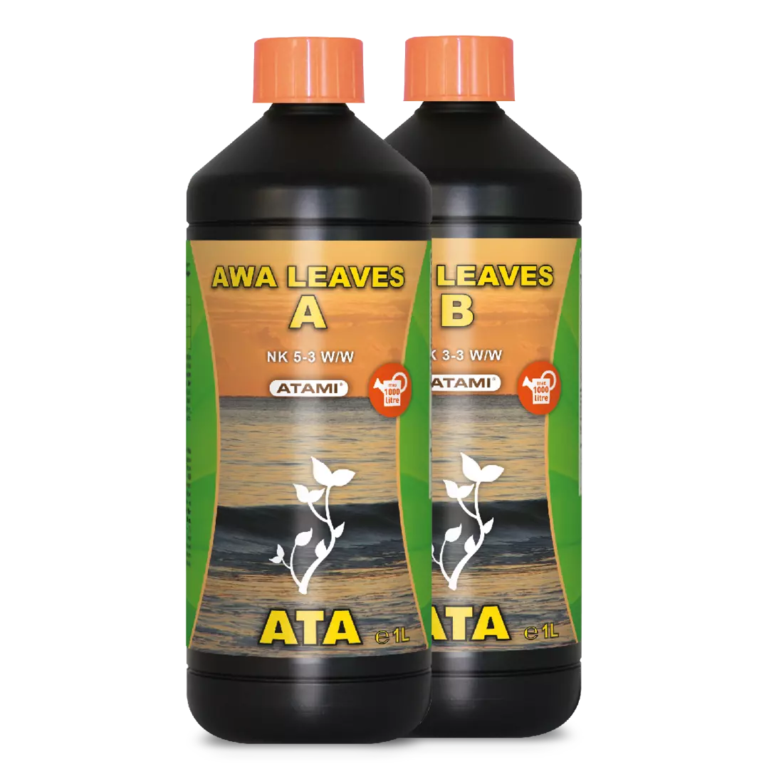 ATA Awa Leaves B