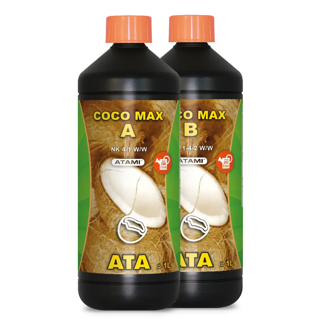 ATA Coco Max B