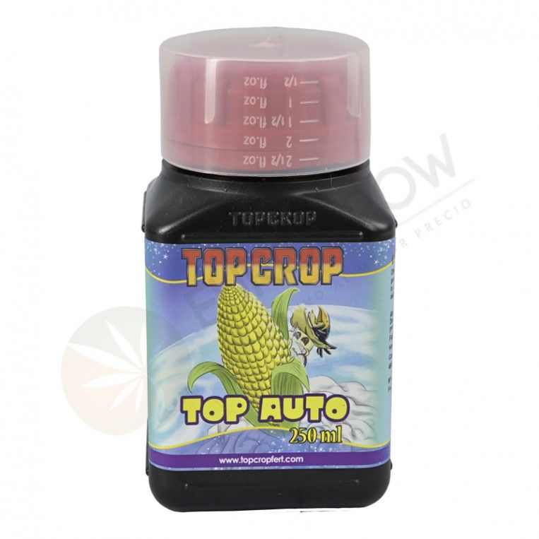 Top Auto