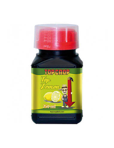 Top Lemon