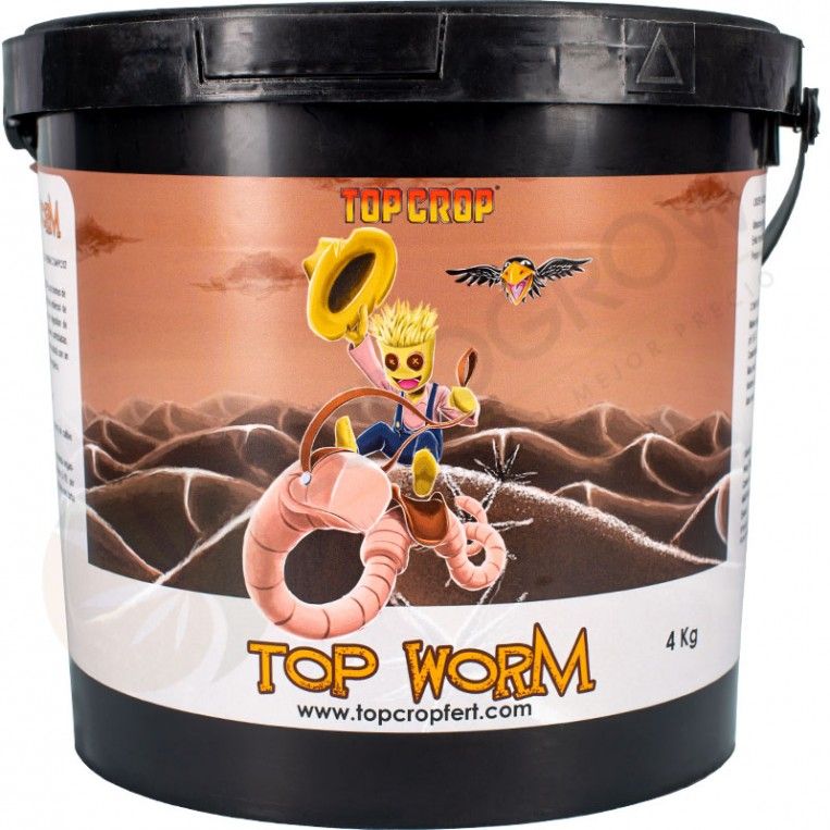 Top Worm