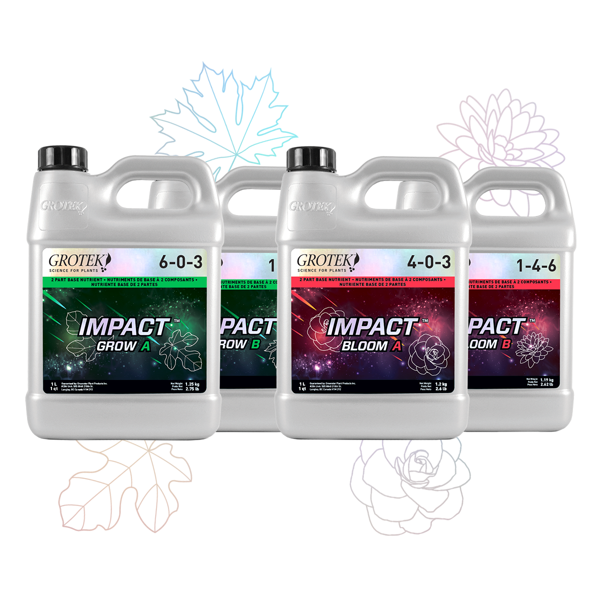 Impact Bloom A