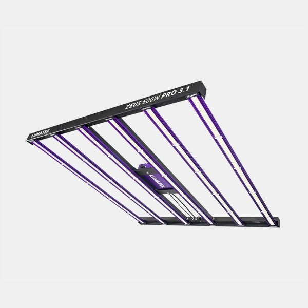 Lumatek Zeus 600W Pro 3.1 LED