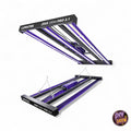 Lumatek Zeus 300W 3.1 LED