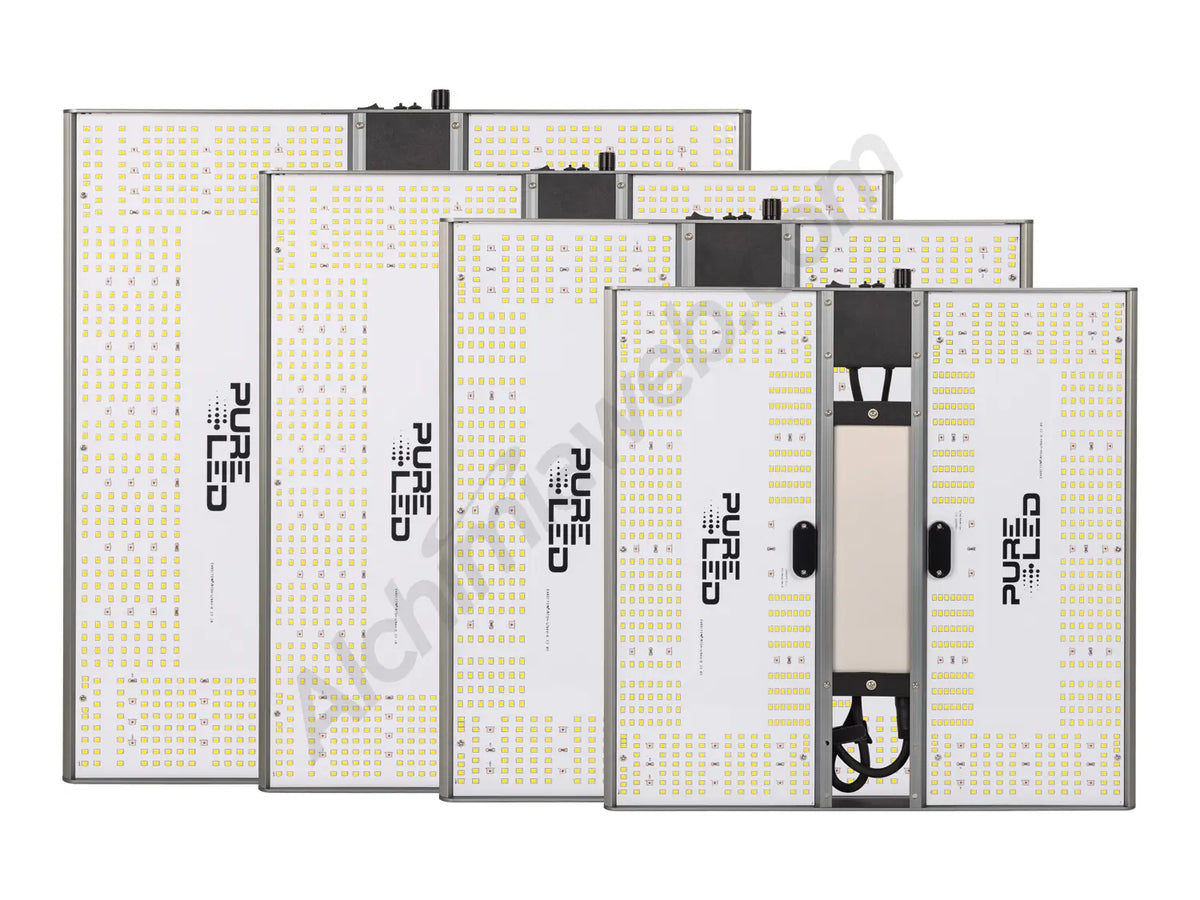 Pure Led Q v 2.0