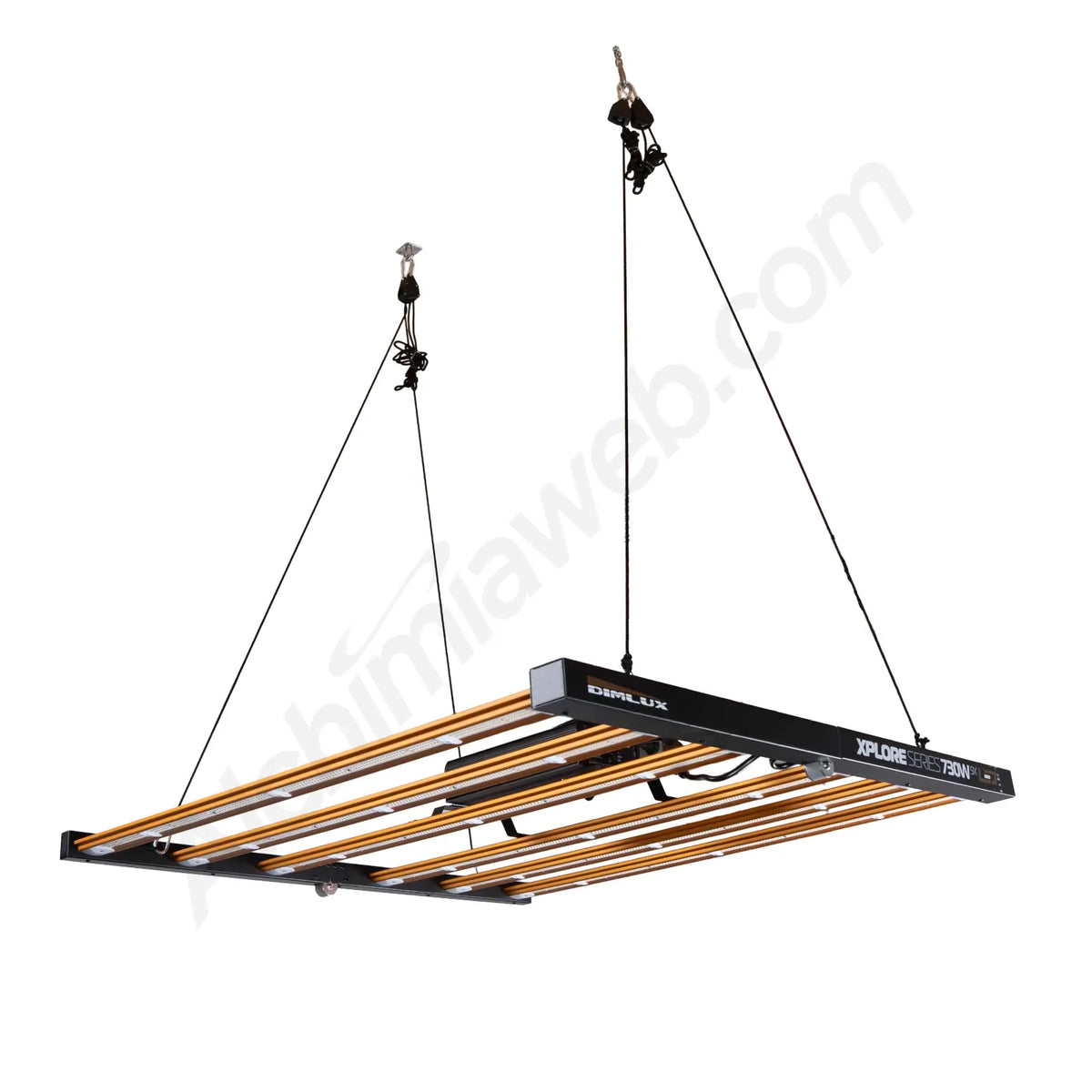 Led Xplore X9 730w Dimlux