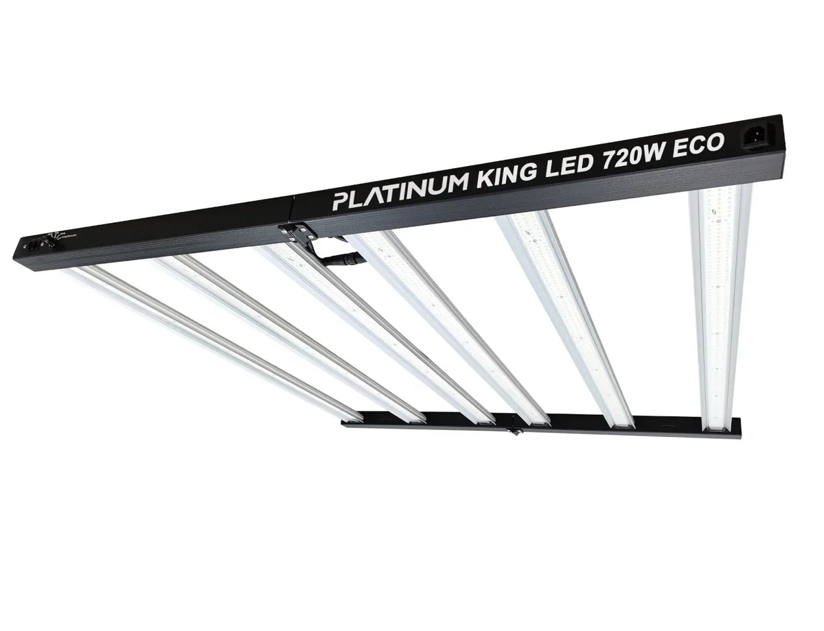 Led Platinum King Eco 720 w