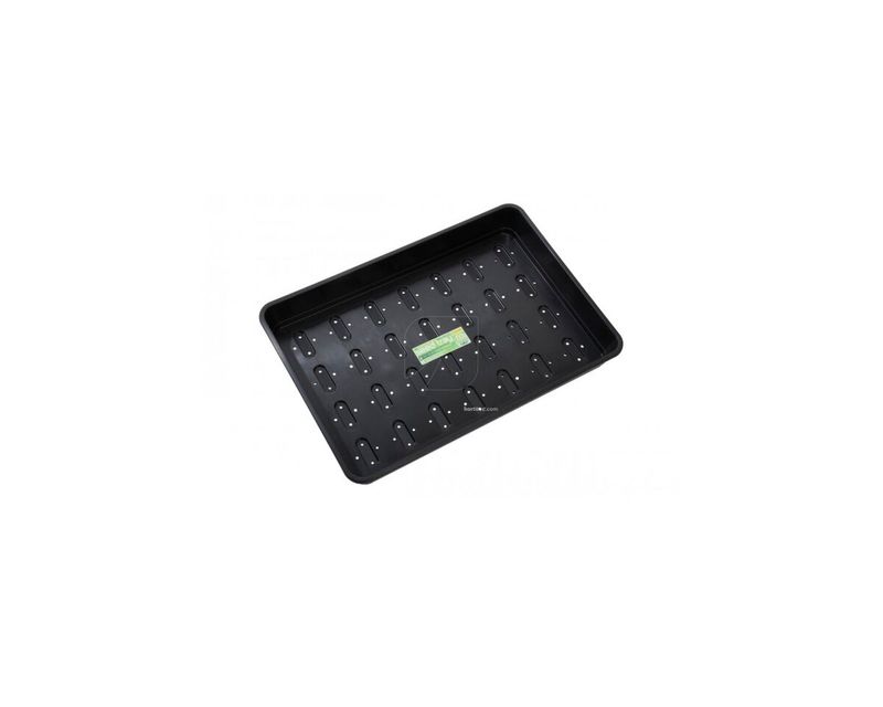 Bandeja de germinación XL