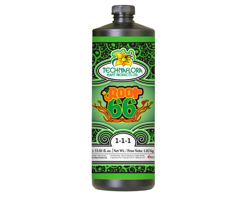 Root 66