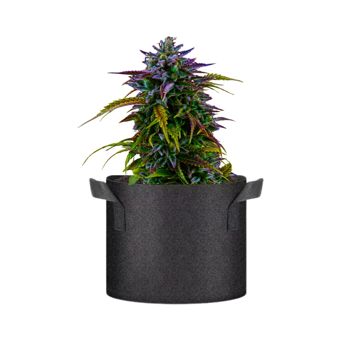 Macetas textiles MJ3